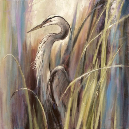 Picture of COASTAL HERON