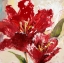 Picture of EXUBERANT RED TULIP