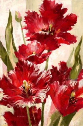Picture of JUBILANT RED TULIP