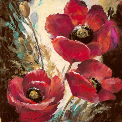 Picture of INFLUENTIAL POPPY