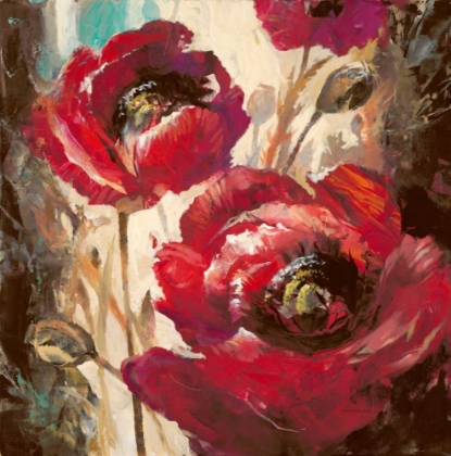 Picture of DRAMATIC POPPY