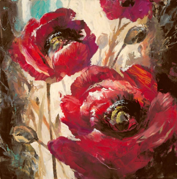Picture of DRAMATIC POPPY
