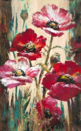 Picture of SPONTANEOUS POPPIES