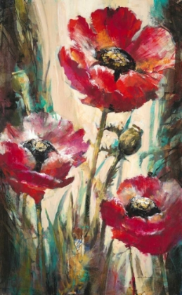 Picture of IMPULSIVE POPPIES