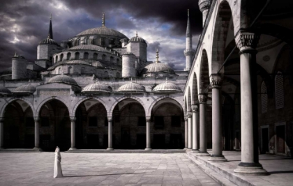 Picture of LADY AND THE MOSQUE