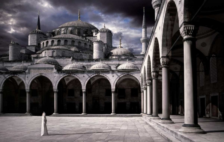 Picture of LADY AND THE MOSQUE