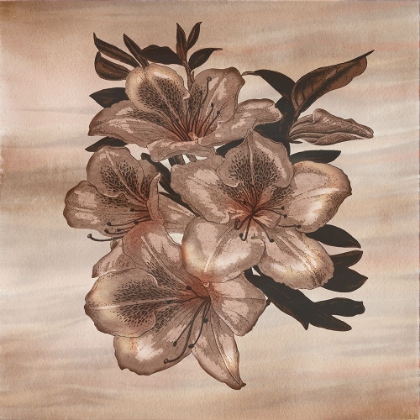 Picture of TIMELESS BLOSSOMS 2