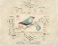 Picture of SONGBIRD ETCHING 1