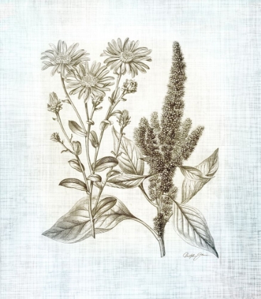 Picture of FARMHOUSE BOTANICAL 2