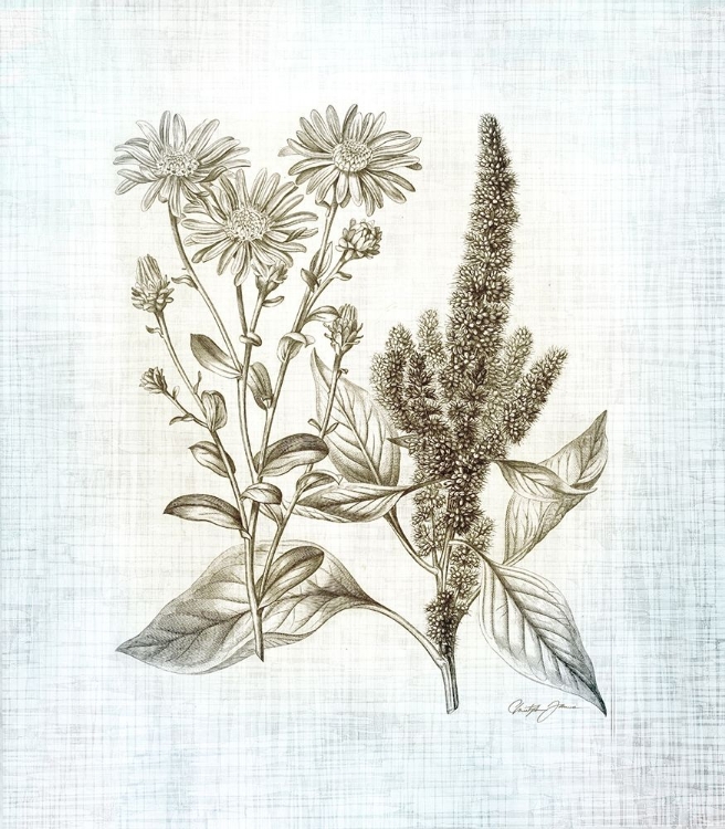 Picture of FARMHOUSE BOTANICAL 2