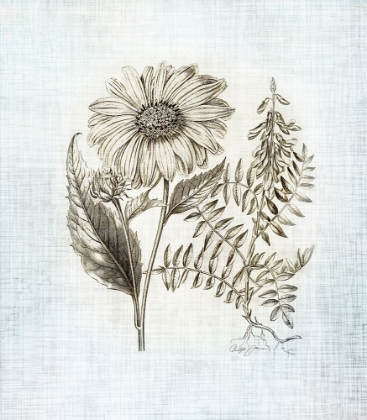 Picture of FARMHOUSE BOTANICAL 3