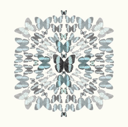 Picture of BUTTERFLY KALEIDOSCOPE