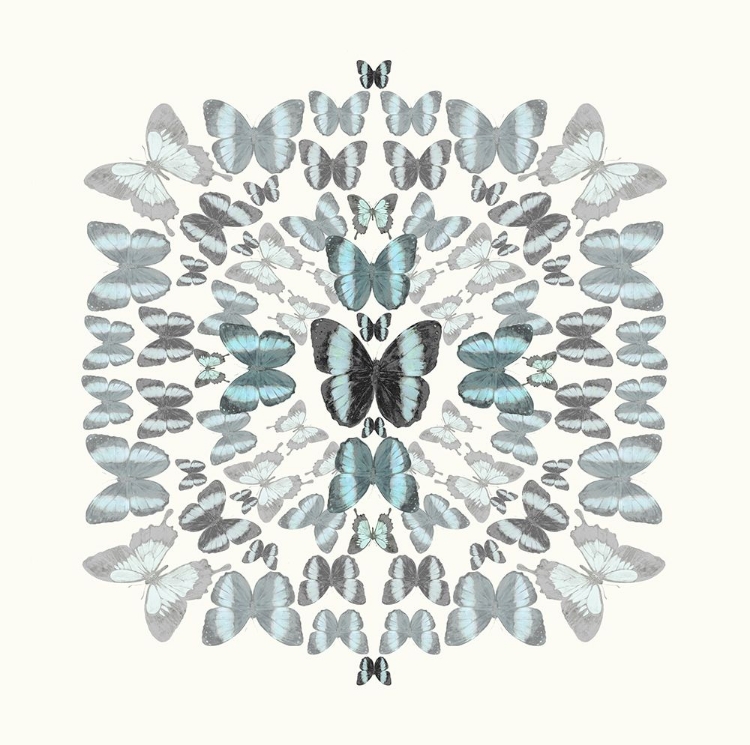 Picture of BUTTERFLY KALEIDOSCOPE