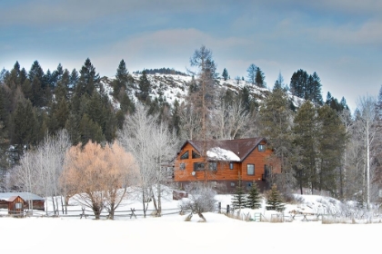 Picture of MONTANA HOMESTEAD CABIN