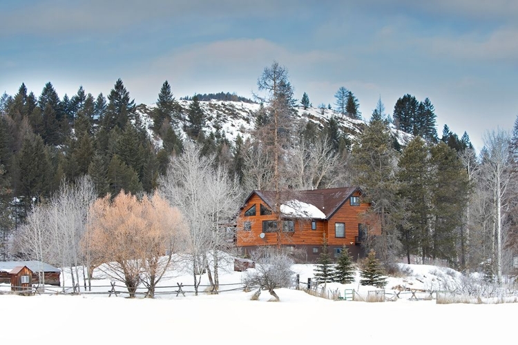 Picture of MONTANA HOMESTEAD CABIN