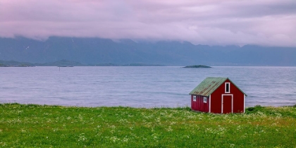 Picture of BEACH HUT ON LOFOTEN COASTLINE, NORWAY