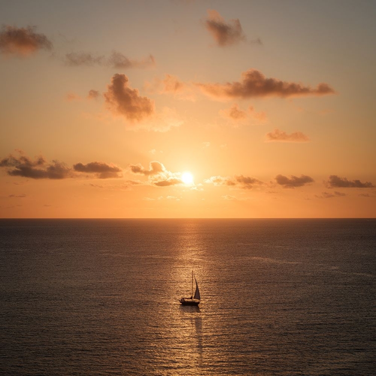 Picture of SUNSET OVER THE OCEAN WITH A SAILBOAT, BARBADOS