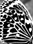 Picture of BLACK AND WHITE WING I