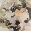 Picture of BLOSSOM
