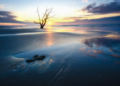 Picture of MORNING SHINE