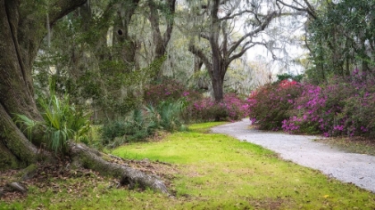 Picture of AROUND THE BEND
