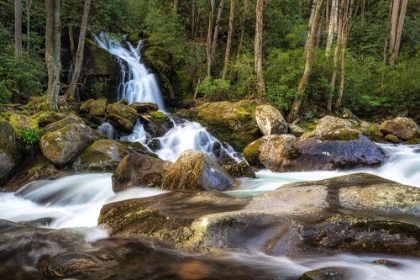 Picture of MERGING WATERS