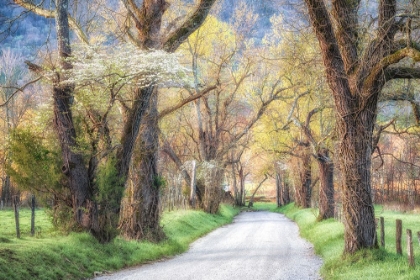 Picture of SUNRISE ON SPARKS LANE
