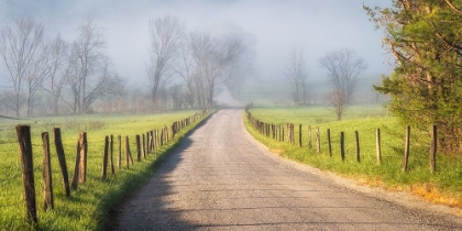 Picture of FOG ON HYATT LANE