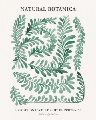 Picture of NATURAL BOTANICA