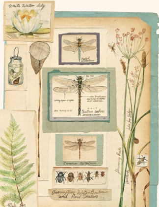 Picture of DRAGONFLY COLLAGE