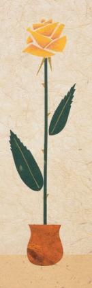 Picture of POTTED YELLOW ROSE