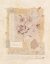 Picture of FLORAL COLLAGE II