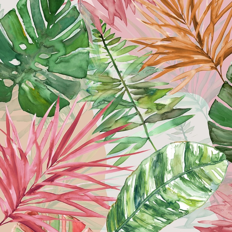 Picture of HOT TROPICS I
