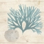 Picture of BLUE SEAWEED II