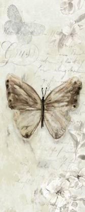 Picture of LA CHANSON DU PAPILLON I