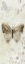 Picture of LA CHANSON DU PAPILLON I