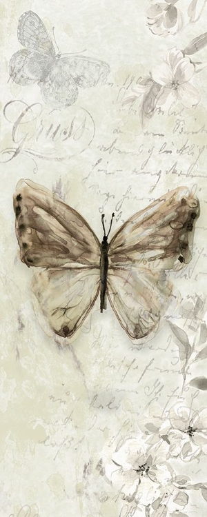 Picture of LA CHANSON DU PAPILLON I