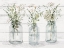 Picture of BOTTLED GREENERY