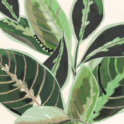 Picture of JUNGLE CLOSE UP II