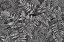 Picture of BRACKEN FERNS AND HORSETAIL