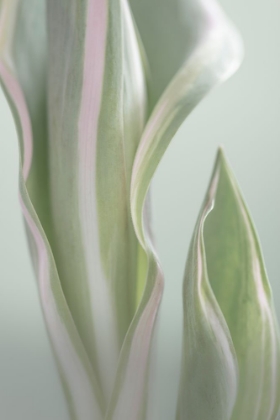 Picture of PALE GREEN BEGINNING I