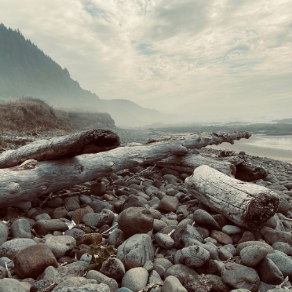 Picture of ROCKY SHORELINE I