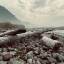 Picture of ROCKY SHORELINE I