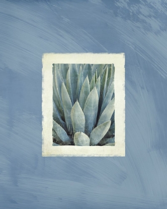 Picture of SUCCULENT MOMENTS 3
