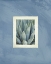 Picture of SUCCULENT MOMENTS 3
