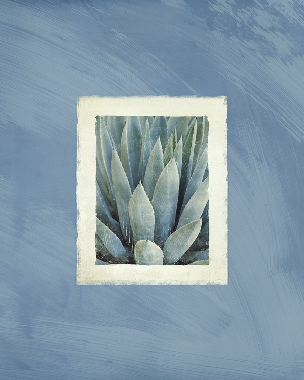 Picture of SUCCULENT MOMENTS 3