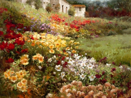 Picture of FLOWERING BANK