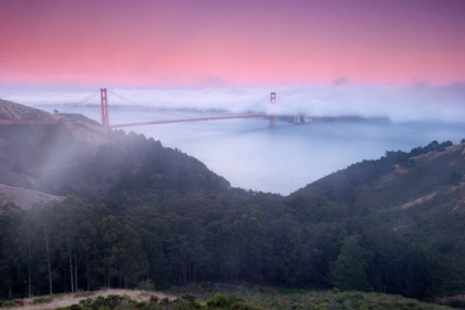 Picture of TWILIGHT FOG