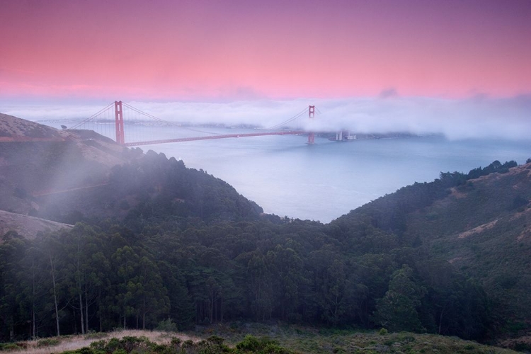 Picture of TWILIGHT FOG