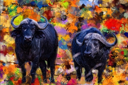 Picture of BUFF FAMILY